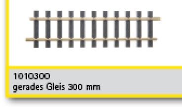 G Gleis MS gerade 30cm