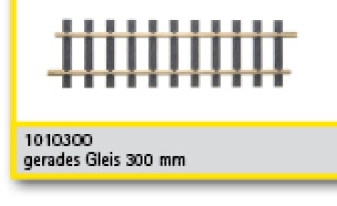 G Gleis MS gerade 30cm