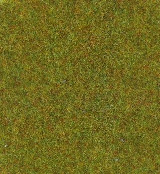 H0 TT N Z Grasmatte 100x 200 herbstfarben, etc...................................................................................