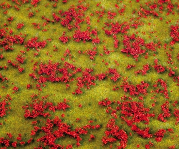 H0 Landschaft Segment Blumenwiese rot