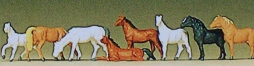 Z Figur Pferde