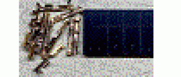 elektro 10polige Crimp Buchse incl. Crimpanschluss, etc..........................................................................