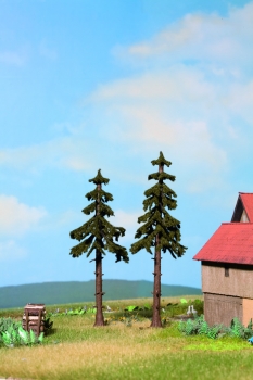 H0 N TT Geländegestaltung Hochstamm Wetterfichte 14,5cm, etc................