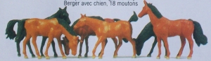 Z Warmblutpferde 6x