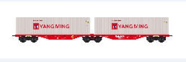 N D DB Containertragwagen Set 2x  Ep.V Container Yang Ming