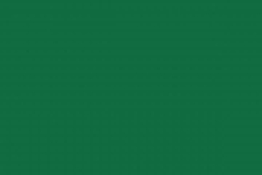 Farbe RAL 6002 Laubgrün 25ml