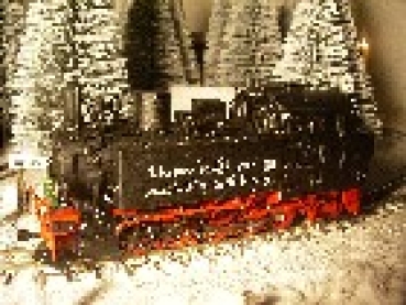 H0e D DR Dampflokomotive BR 99644, E, Ep.III, Bw Wilsdruff, beschriftet,