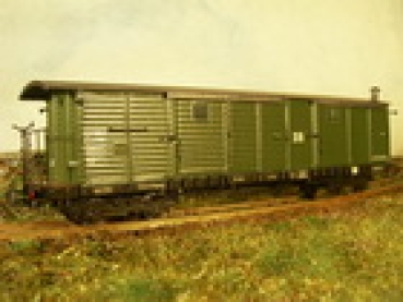 H0e D DR BS Gepäck- Zugführerwagen 974-401, 4A, grün, Trusetalbahn -