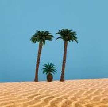 H0 Geländegestaltung Kokospalme St.2x, 9cm, Palmfarn 3cm, etc..............................