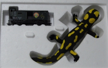 H0 Jub. mit Steif Salamander und Märklin 48806