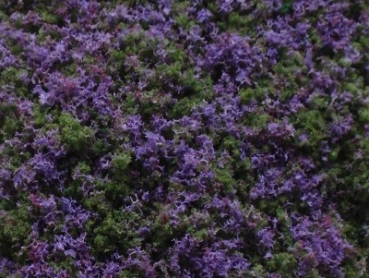 0- N Blumenfoliage 10x 15x 2cm violett- grün