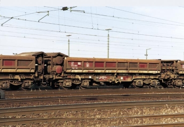 - Kopie