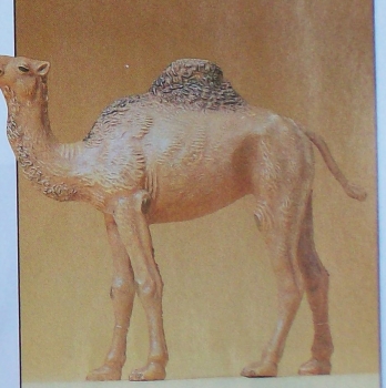 G Figur Dromedar etc....................................................................................................................................................................................................................