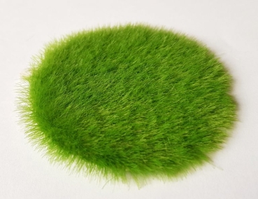 Geländegestaltung Gras- Flocken Beutel, 100gr. 6mm, Frühling