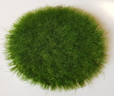 Geländegestaltung Gras- Flocken Dose, 50gr. 6mm, Sommer