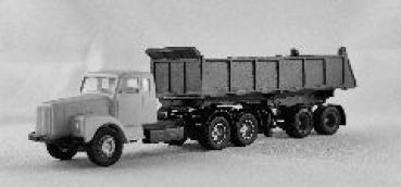 H0 D LKW Scania 111 Kippauflieger Ackermann, 5A, etc..............................