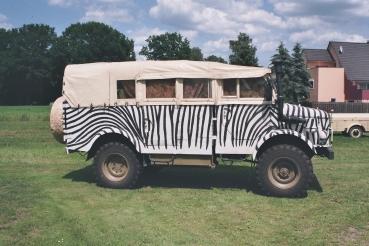 H0 D BUS Borgward B 2500 Kübelwagen,   Zebra