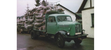 H0 D LKW Bordward B 4500 Holzlaster mit Weihnachtsbäumen