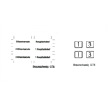 H0 Halling Decals Decals Decal für GT6 Braunschweig Nr.33/ 35, Bogen 2x, etc...........