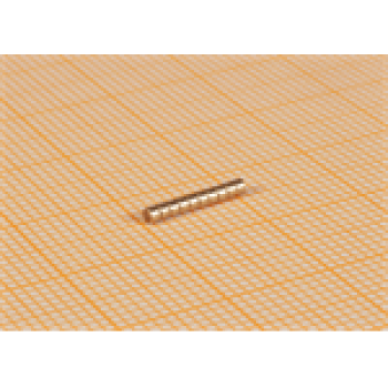 A Ersatzteile Halling Kupplungen und Magnete Mini- Magnet 155, St.10, D= 1,55mm, L= 1mm, etc...........................