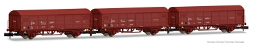 N E RENFE Güterwagen Set 3x, ged., L=174mm, 2A, Ep.IV, braun, etc..........................