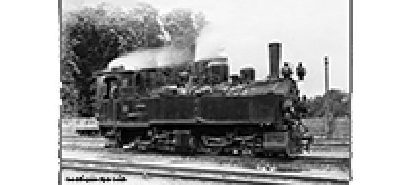 H0m D NWE Dampflokomotive Nr.13 Ep.II