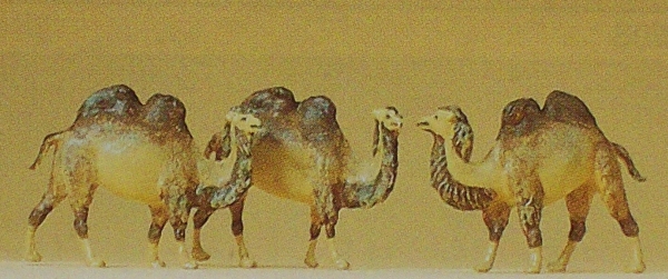 N Figur Kamele