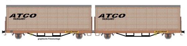 H0 D DR Güterwagen Fährbootwagen Laas- Einheit Doppeleinheit Railship, einfarbig, beladen mit Holzcontainer mit Plane ATCO, 2A, etc............................