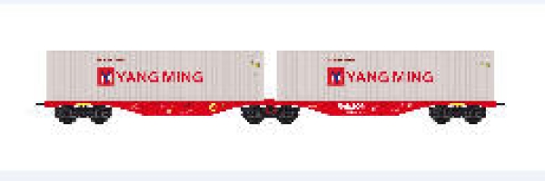 N D DB Containertragwagen Set 2x  Ep.V Container Yang Ming