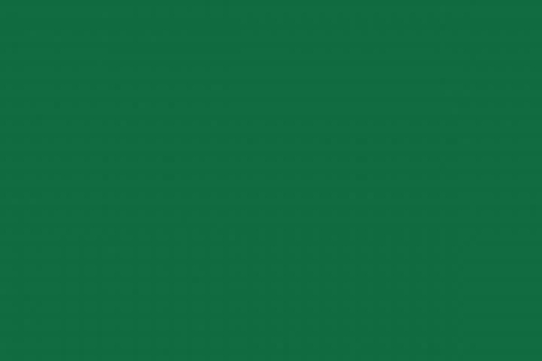 Farbe RAL 6002 Laubgrün 25ml