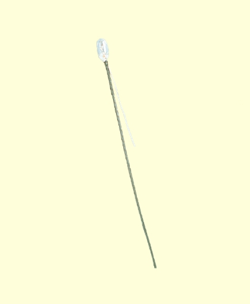 Ersatzteil Kabelbirne, mit 1 Kabel, klar, 3V, 15mA,etc...........................................................................................