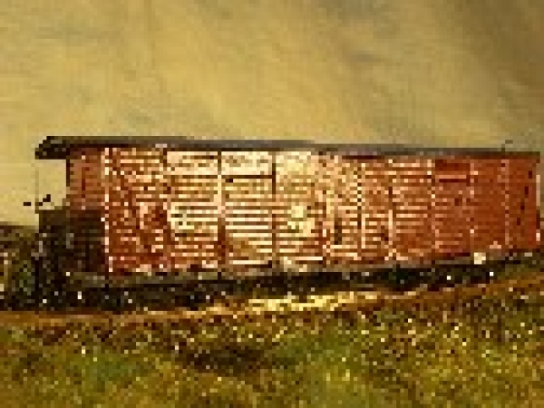 H0e D DR Einheits- Güterwagen GGw 97-10-68, GGwhel, Heiz und E- Leitung,  4A, braun,
