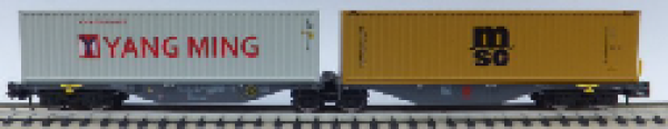 N PRI Containertragwagen