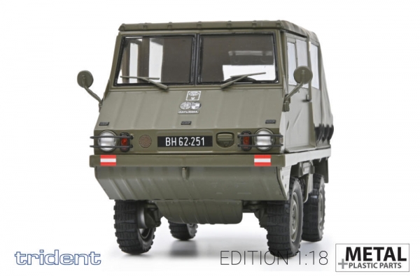 1: 18 LKW Steyr- Puch Haflinger, Fire Truck, etc...............................................................................................