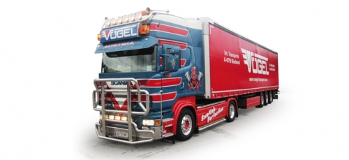 1 50 LKW Scania R TL Gardinenplanen- Sattelzug Vögel