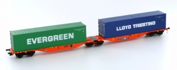 N Containertragwagen bel. 4A Ep.   " Evergreen Loyd "