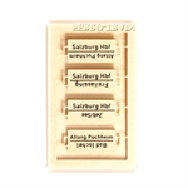H0 Halling Tafeln Tafeln Zuglaufschilder " Salzburg ", Satz 1x 4St., etc..................