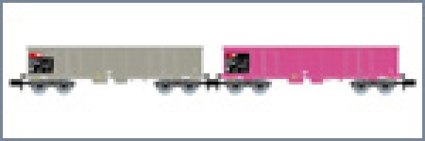 N Ch SBB Güterwagen Eaos Set, 2x, off., bel., 4A, Ep.V, grau, pink,  etc..........................