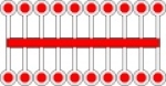 n ÖBB LC Zugschlußsignal  20x